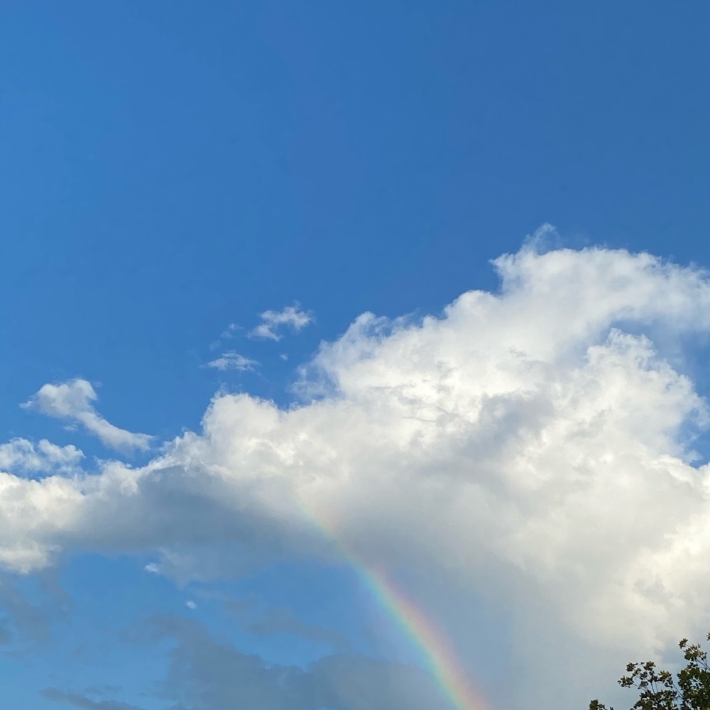 Meet your Posher, Karla